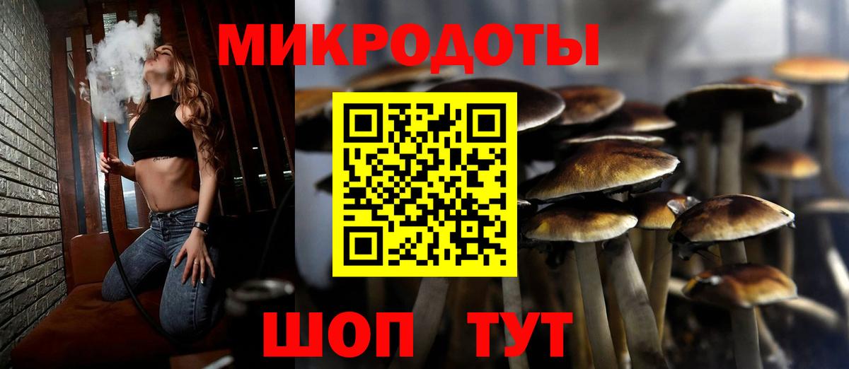 Псилоцибиновые грибы Psilocybe Елизово